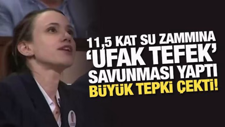 11,5 kat su zammına ‘ufak tefek’ savunması yaptı, büyük tepki çekti!
