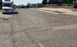 ABD’de bir şehri böcekler sardı! Halk ‘kıyametin habercisi’ dedi!