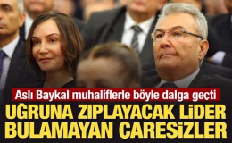 Aslı Baykal muhaliflerle böyle dalga geçti: Uğruna zıplayacak lider bulamayan çaresizler