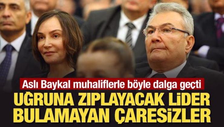 Aslı Baykal muhaliflerle böyle dalga geçti: Uğruna zıplayacak lider bulamayan çaresizler