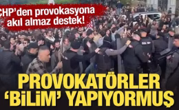 CHP’li Çelik provokasyonu böyle savundu: ‘Bilim’ yapıyorlarmış!