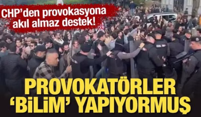 CHP’li Çelik provokasyonu böyle savundu: ‘Bilim’ yapıyorlarmış!