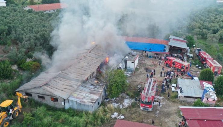 Hatay'da tekstil atölyesinde yangın çıktı – Güncel haberler