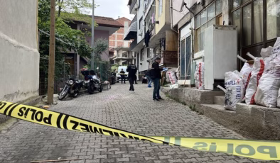 Miras belası! Ağabey kardeşe kıydı! | Son dakika haberleri