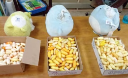 Peluş oyuncaklardan 10 kilo kokain çıktı