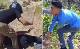 Adana haberleri: Tanınmamak için kask taktı! Kan donduran işkence | SON DAKİKA HABERİ | Son dakika haberleri