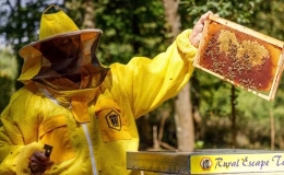 Arıcı, trafik polisleriyle tartışınca üzerlerine arı saldı