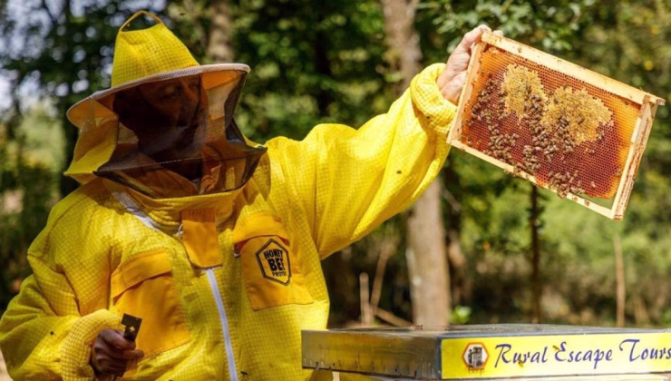 Arıcı, trafik polisleriyle tartışınca üzerlerine arı saldı