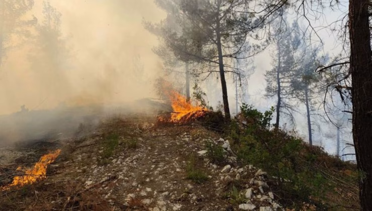 Balıkesir'de orman yangını çıktı – Güncel haberler
