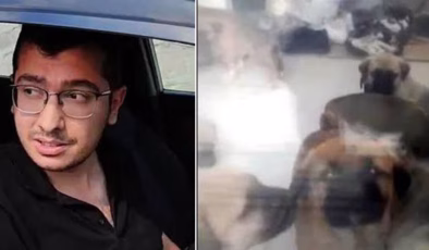 Evcil hayvana cinsel istismar! Doktora 17.5 yıl istendi! | Son dakika haberleri