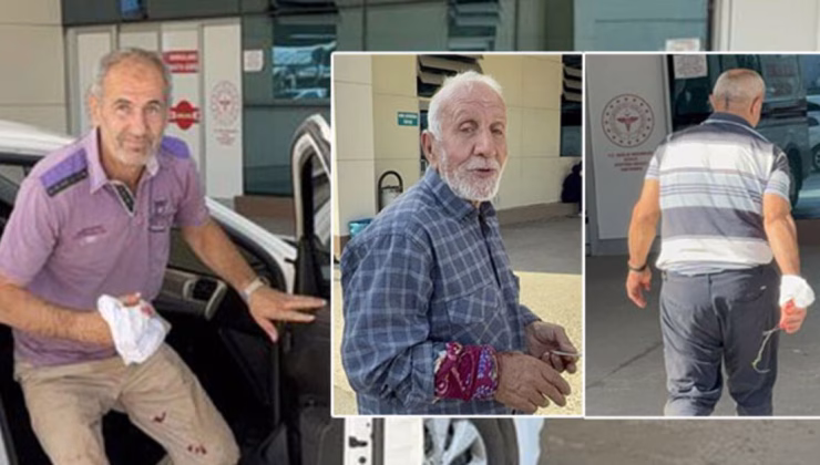 Gelenek bozulmadı! Sadece Düzce'de 92 yaralı! Kendimizi kesiyoruz! | Son dakika haberleri