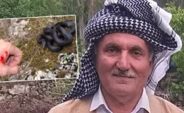 Hayvanları için ot biçiyordu görmedi… Isırdı ve öldürdü! | Son dakika haberleri