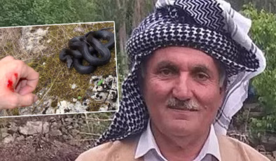 Hayvanları için ot biçiyordu görmedi… Isırdı ve öldürdü! | Son dakika haberleri