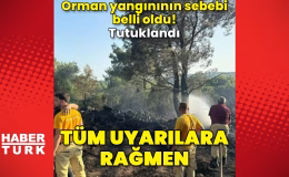 Mangal yaparken ormanı yakmış! Tutuklandı – Güncel haberler