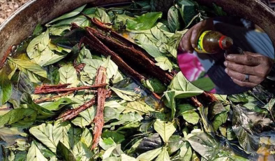 Prens Harry’de içiyordu! Ayahuasca çayı, turistin canını aldı