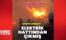 Alevler bu kez Çeşme'de! Yazlıkların olduğu alanda alarm! | Son dakika haberleri