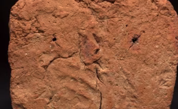 Bilim tarihinde heyecanlandıran gelişme! 4 bin yıllık el izi keşfi!