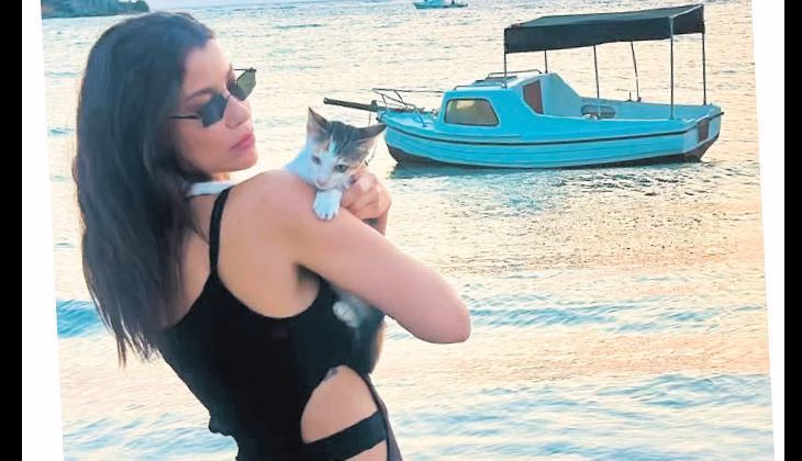 Kedi yüzünden CİMER’e şikayet edildi