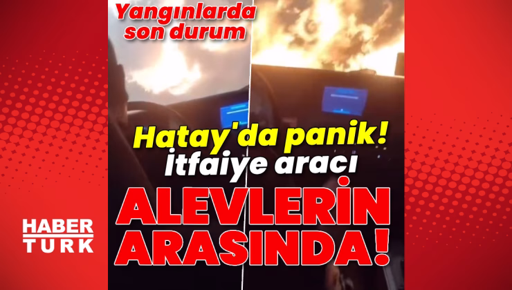 Son dakika haberi: Orman yangınlarında son durum! İzmir'deki yangın 3.gününde! | Son dakika haberleri