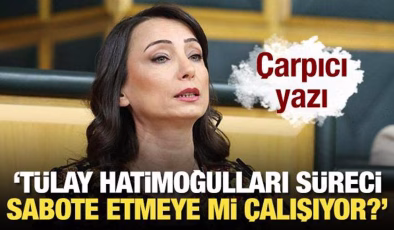 ‘Tülay Hatimoğulları süreci sabote etmeye mi çalışıyor?’