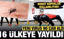 16 ülkede korkunç virüs yayılıyor: 240 binden fazla vakada 90 kişi öldü