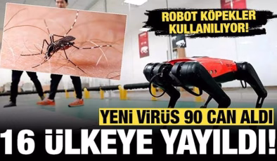 16 ülkede korkunç virüs yayılıyor: 240 binden fazla vakada 90 kişi öldü