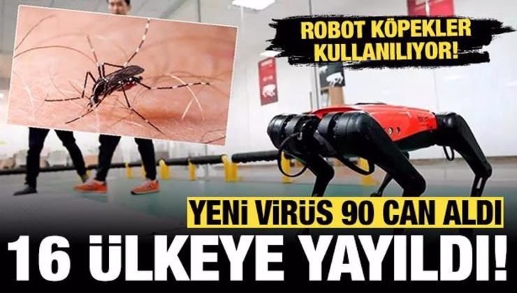 16 ülkede korkunç virüs yayılıyor: 240 binden fazla vakada 90 kişi öldü