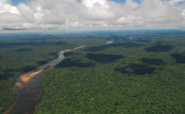 Dünya’nın en büyük akciğeri olarak biliniyor! Küresel amazon alarmı!