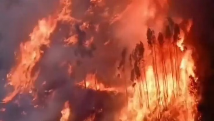 İspanya ve Portekiz’de yangın alarmı! Mücadele sürüyor