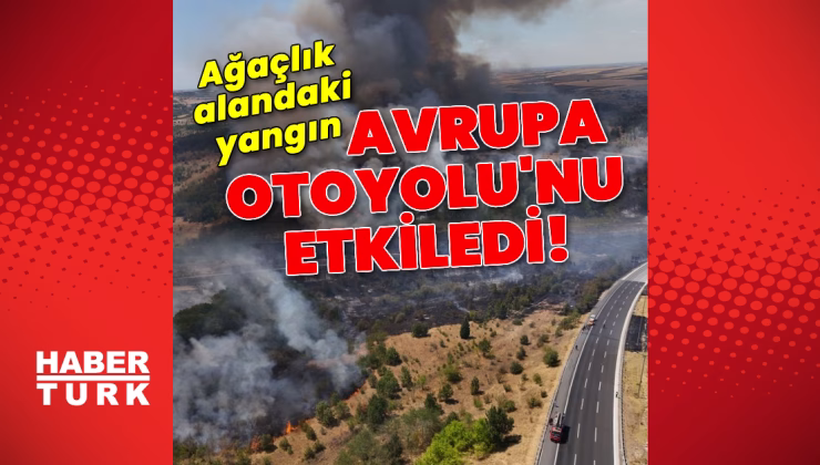 Kırklareli’nde ağaçlık alanda yangın! Kapatılan Avrupa Otoyolu açıldı