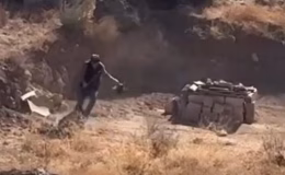 4 aylık köpeğe akılalmaz şiddet! Valilikten açıklama!