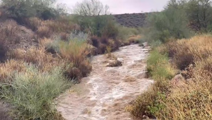 Arizona’da sel 4 can aldı!