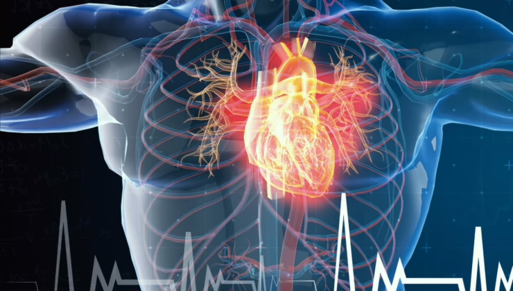 Tıp Literatürüne Giren Türk Vaka: Ginseng Genç Kalbi Nasıl Durdurma Noktasına Getirdi?